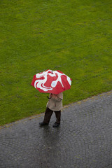 pedestrian with umbrella during a rainy day