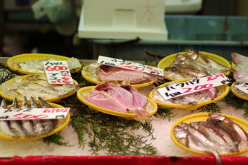 鮮魚店の魚たち