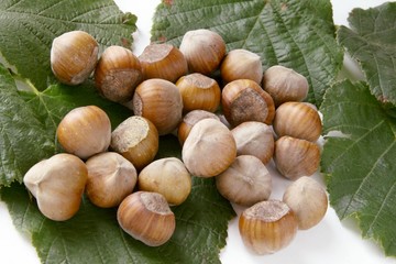 hazelnuts