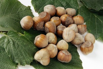 hazelnuts