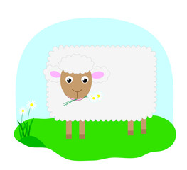 Vector sheep on the grass