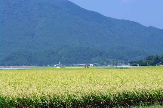 87 最適な 新潟平野 画像、ストック写真、ベクター Adobe Stock
