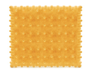 biscuit
