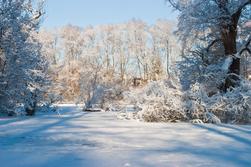 Winter
