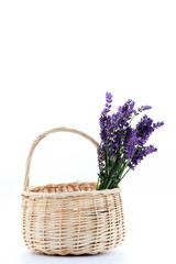 Fototapeta na wymiar basket with lavender flowers