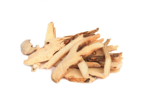 Racine de pivoine herbac&eacute;e