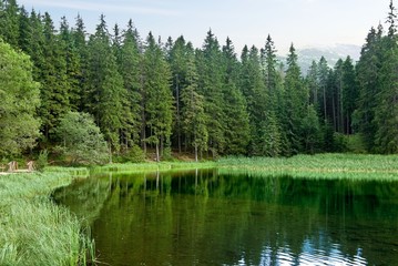 Fototapeta na wymiar beautiful lake in a forest