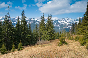 Spring in mountains