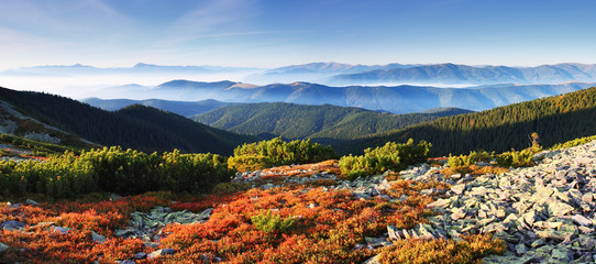 autumn in mountain