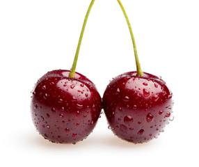 Cluster of sweet cherry with water drops