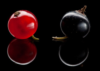 Red and black berry