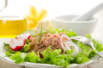 tuna salad- insalata di tonno