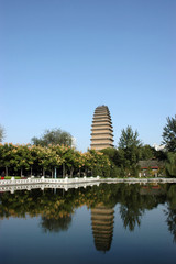 small wild goose pagoda xian china © birdmanphoto