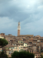 Fototapeta na wymiar Siena - panorama of the old part of town with Torre del Manga