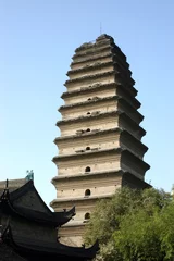Tuinposter kleine wilde gans pagode xian china © birdmanphoto
