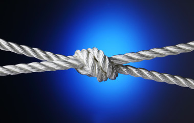 gemeinsam sind wir stark