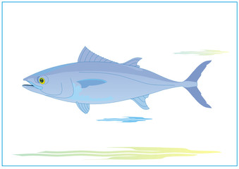 Blufin