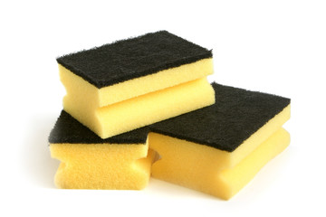 Yellow sponges