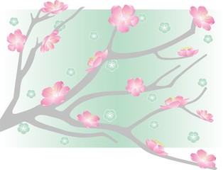 flower_background