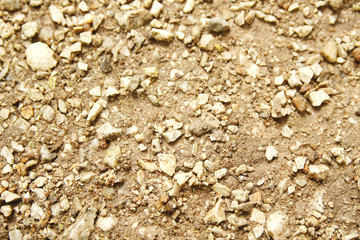Pebble and small rock on the ground.