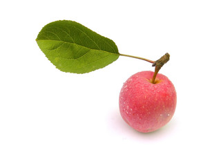 An apple with a leaf.