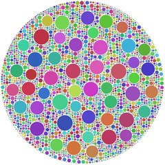 Circles inside a big one (Arlequin)