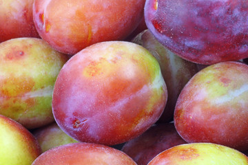 close up plums