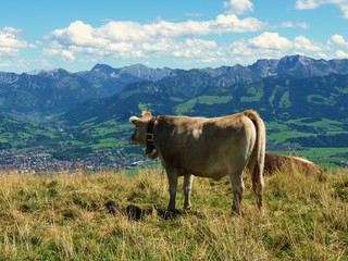 Fototapeta na wymiar Widok na Alpy Bawarskie i Sonthofen