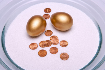 currency and investment