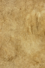 Parchment texture © birdmanphoto