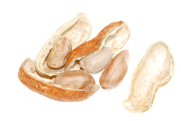 peanut isolated