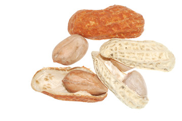 peanut isolated