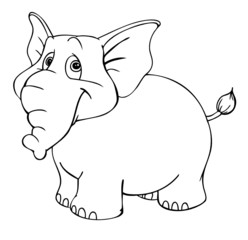 Elefant, dick, Zoo, Tierpark, Afrika, groß, schwer