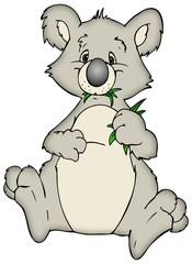 Naklejka premium Koala, Koalabär, Australien, Eukalyptus, Dschungel