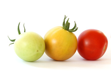 Three tomatoes colorful tomatoes on white background