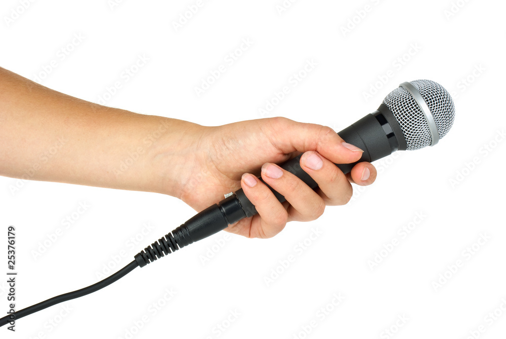 Wall mural hand holding microphone