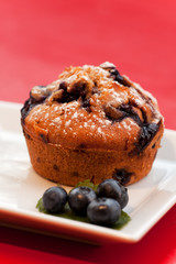 Blaubeermuffin auf einer quadratischen Teller