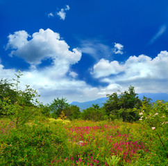 magical view