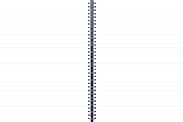 Two-page blank pages with blue lines of a spiral note pad