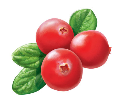 Cranberries