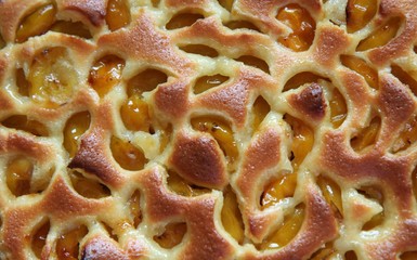 Gâteau mirabelle