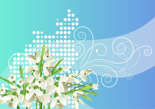 Vector spring snowdrops background