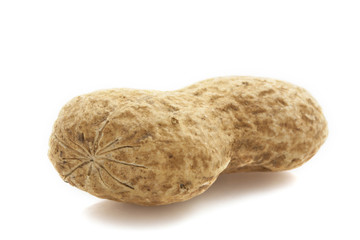 Peanut