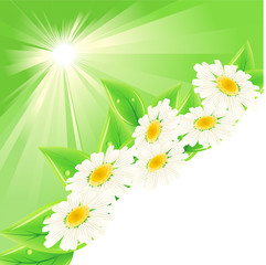 Background with green fresh leaves and flowers