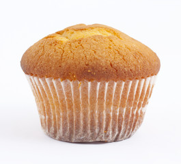 Cake on white background