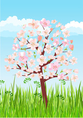 Blossoming spring tree on green grass