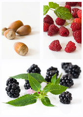 composition, fruits des bois