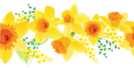 Fototapeta na wymiar Seamless horizontal spring daffodil pattern