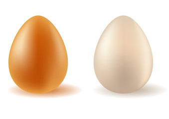 Two realistic vector eggs