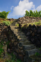 Alte Steintreppe